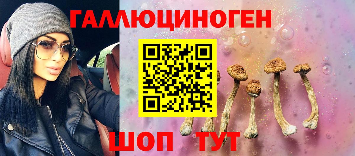 Псилоцибиновые грибы мицелий  Вход с VPN  Галлюциногенные грибы GOLDEN TEACHER  как найти   Троицк 